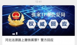 乐宝反攻爆料视频,揭秘爆料视频背后的惊人真相